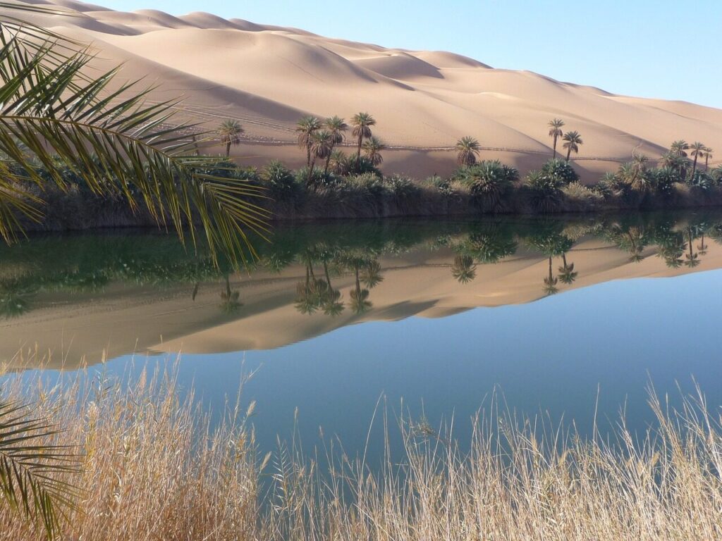 oasis, libya, lake, quiet, reflection, desert, nature, riverbank, water, waters, atmospheric, calm, sahara, idyllic, beautiful, landscape, idyll, mood, oasis, oasis, oasis, oasis, oasis, libya, libya