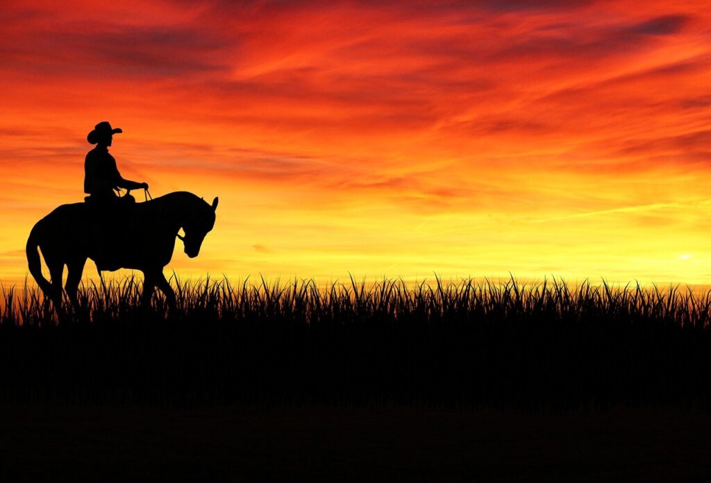 cowboy, desktop backgrounds, horse