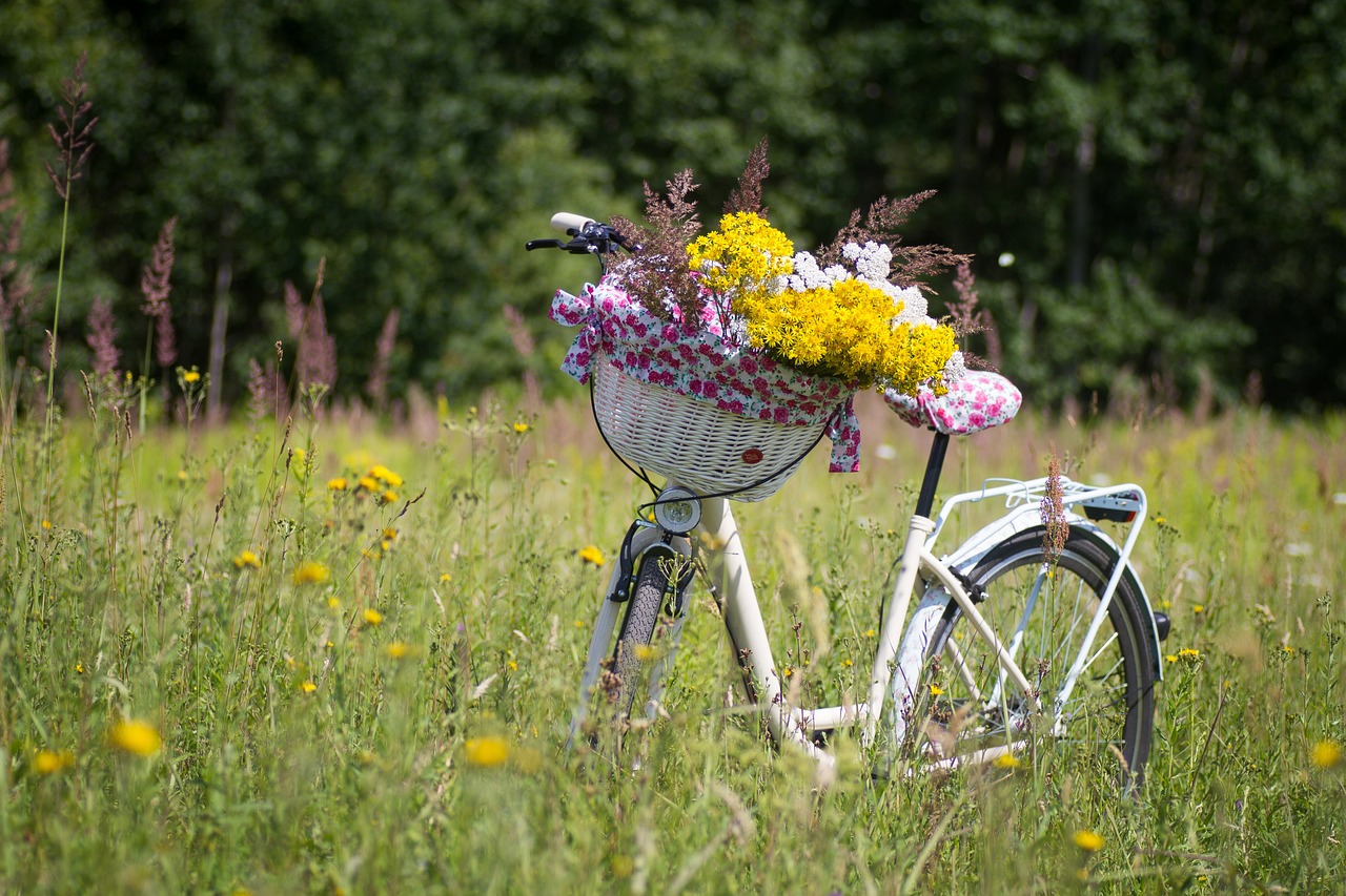 bicycle, summer, flower wallpaper-2553927.jpg