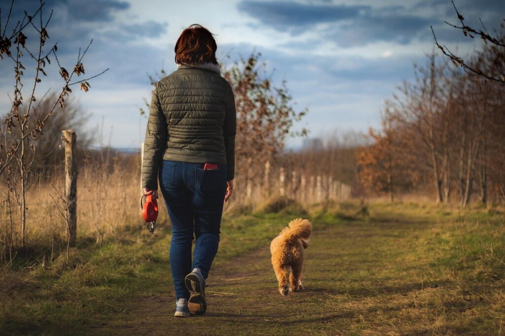 woman, dog, path, walk, dog walk, winter, outdoors, surrey, england, epsom, nature, pet, field, animal, grass, cavapoo, cavapoochon