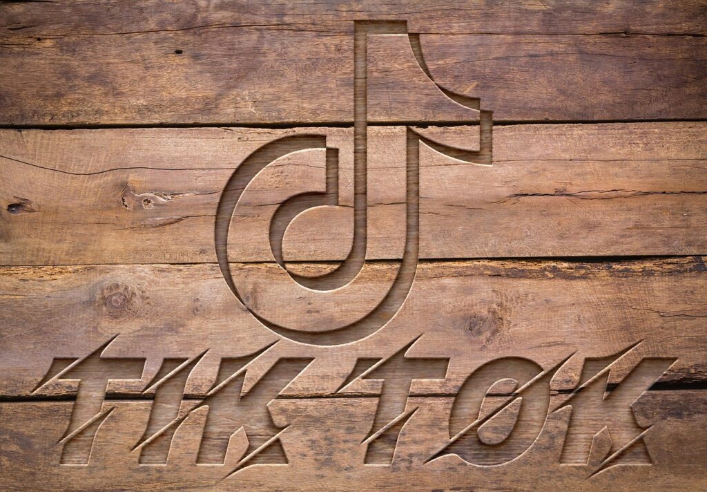 tiktok, logo, social media, social network, social, network, application, icon, technology, software, program, communication, internet, tiktok, tiktok, tiktok, tiktok, tiktok